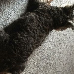 Meet your Posher, Paula